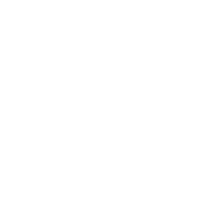 ANARCH AUT ANARCH AUT